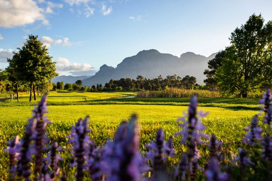 0 Bedroom Property for Sale in Pearl Valley Golf Estate Western Cape